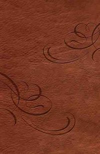Produktbild: B-Nk-Nel Chp 2913a