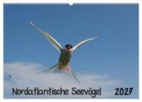 Produktbild: Nordatlantische Seev&ouml;gel (Wandkalender 2027 DIN A2 quer), CALVENDO Monatskalender