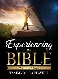 Produktbild: Experiencing the Bible: A Practical Guide