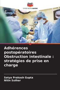 Produktbild: Adh&eacute;rences postop&eacute;ratoires Obstruction intestinale : strat&eacute;gies de prise en charge