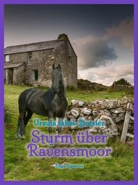 Produktbild: Sturm &uuml;ber Ravensmoor