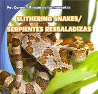 Produktbild: Slithering Snakes/Serpientes Resbaladizas