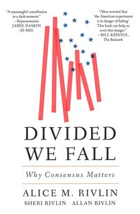 Produktbild: Rivlin, A: Divided We Fall