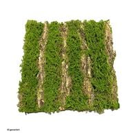 Produktbild: HTI-Living Moosmatte Furche 50 x 50 cm Kunstpflanze Flora