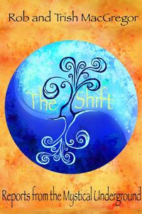 Produktbild: The Shift