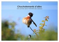 Produktbild: Chuchotements d'ailes - Une ann&eacute;e dans l'intimit&eacute; des oiseaux (Calendrier mural 2027 DIN A3 vertical), CALVENDO calendrier mensuel
