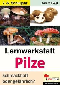 Produktbild: Lernwerkstatt Pilze