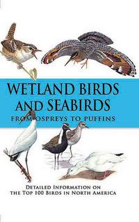 Produktbild: Wetland Birds and Seabirds: From Ospreys to Puffins
