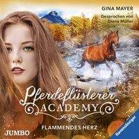 Produktbild: Pferdefl&uuml;sterer-Academy. Flammendes Herz [Band 7]