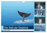 Produktbild: Die Welt der Delphine (Wandkalender 2026 DIN A4 quer), CALVENDO Monatskalender