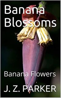 Produktbild: Banana Blossoms: Banana Flowers