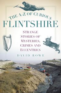 Produktbild: The A-Z of Curious Flintshire