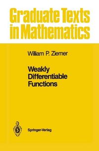 Produktbild: Weakly Differentiable Functions