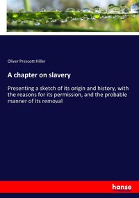 Produktbild: A chapter on slavery