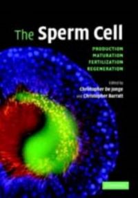 Produktbild: Sperm Cell