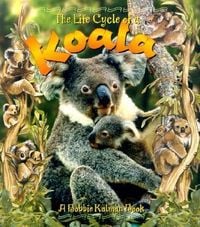 Produktbild: Koala