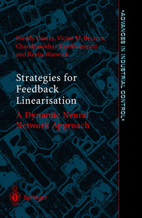 Produktbild: Strategies for Feedback Linearisation