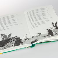 Nass und nasser / Die Schule der magischen Tiere Bd.6