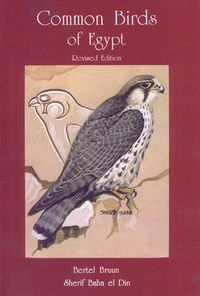Produktbild: Common Birds of Egypt