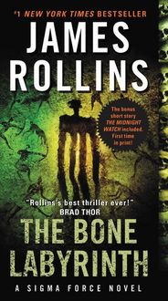 Produktbild: The Bone Labyrinth