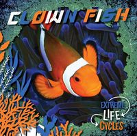 Produktbild: Clown Fish