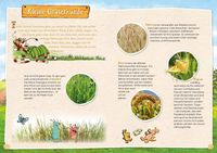 Pettersson und Findus: Mein großes Naturbuch