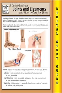 Produktbild: Joints and Ligaments ( Blokehead Easy Study Guide)