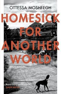 Produktbild: Homesick For Another World