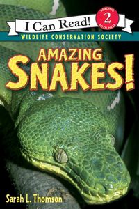 Produktbild: Amazing Snakes!