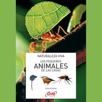 Produktbild: Los peque&ntilde;os animales de las casas