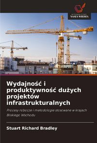 Produktbild: Wydajno&iquest;&iquest; i produktywno&iquest;&iquest; du&iquest;ych projekt&oacute;w infrastrukturalnych