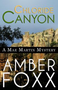Produktbild: Chloride Canyon (Mae Martin Mysteries, #8)