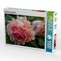 Produktbild: Englische Rose im Regen (Puzzle)
