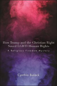 Bild vom Artikel How Trump and the Christian Right Saved Lgbti Human Rights: A Religious Freedom Mystery vom Autor Cynthia Burack