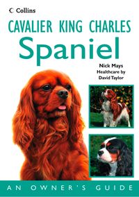 Produktbild: Cavalier King Charles Spaniel
