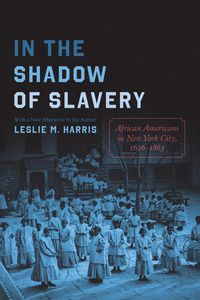 Produktbild: In the Shadow of Slavery