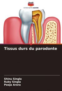 Produktbild: Tissus durs du parodonte