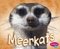 Bild vom Artikel Meerkat vom Autor Jody S. Rake
