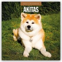 Produktbild: Akitas &ndash; Akita 2027 &ndash; 16-Monatskalender