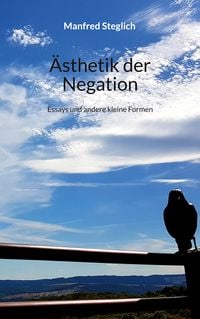 Produktbild: &Auml;sthetik der Negation