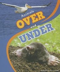 Produktbild: Animals Over and Under