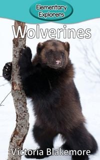 Produktbild: Wolverines
