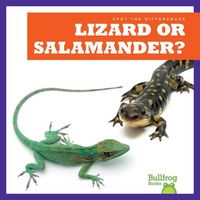 Produktbild: Lizard or Salamander?