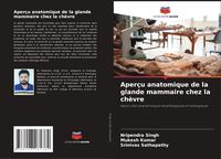 Produktbild: Aper&ccedil;u anatomique de la glande mammaire chez la ch&egrave;vre