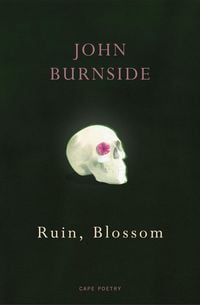 Produktbild: Ruin, Blossom
