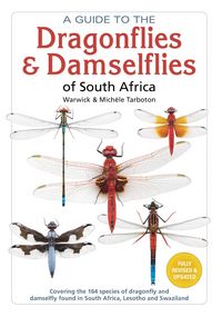 Produktbild: A Guide to the Dragonflies and Damselflies of South Africa