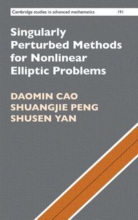 Produktbild: Singularly Perturbed Methods for Nonlinear Elliptic Problems