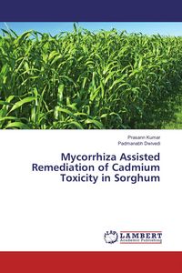 Produktbild: Mycorrhiza Assisted Remediation of Cadmium Toxicity in Sorghum