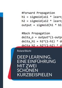 Produktbild: Deep Learning, eine Einf&uuml;hrung mit zwei sch&ouml;nen Kurzbeispielen