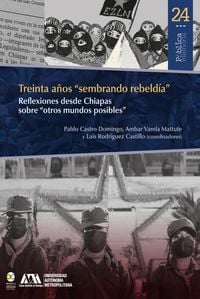 Produktbild: Treinta a&ntilde;os "sembrando rebeld&iacute;a" Reflexiones desde Chiapas sobre "otros mundos posibles"